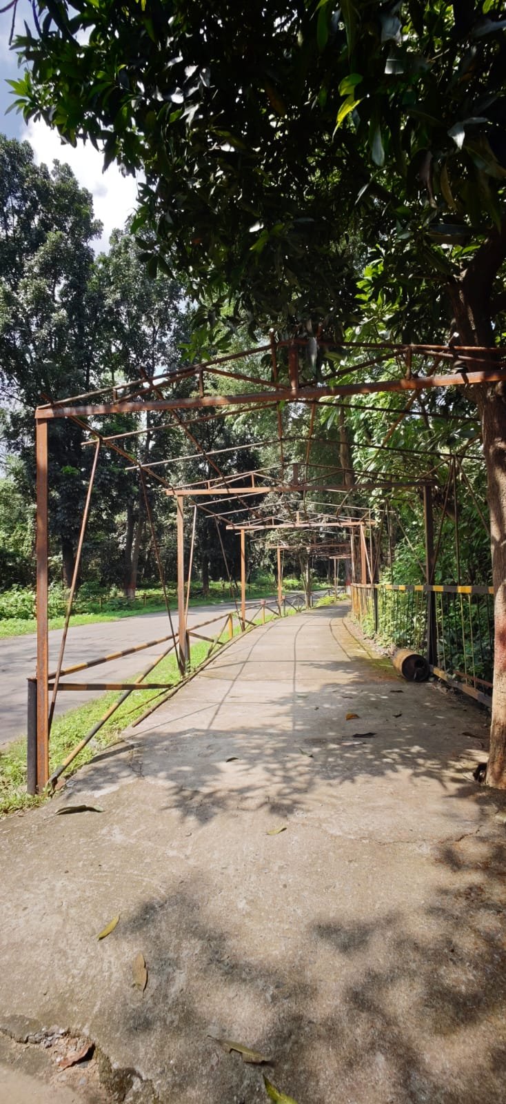 The Jharkhand Wire